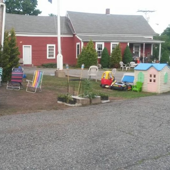 Meet your Posher, Rose - Picture 7 of 8